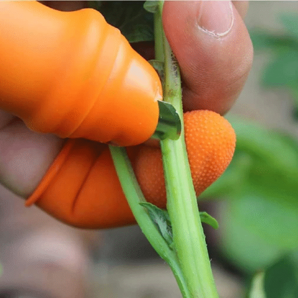Strong Silicone Thumb Knife - Image 4