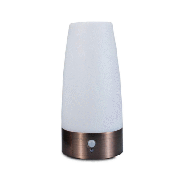 LED Table Lamp with PIR Motion Sensor